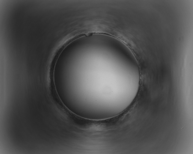 X0000089850248200706281256