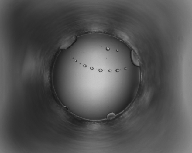 X0000089850249200706281256