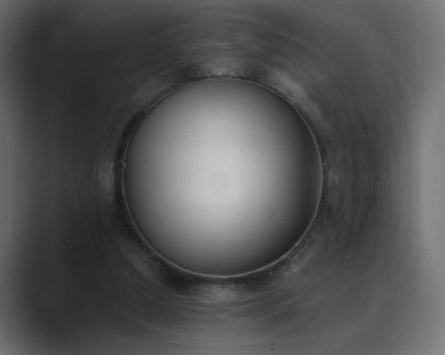 X0000089850250200706281256