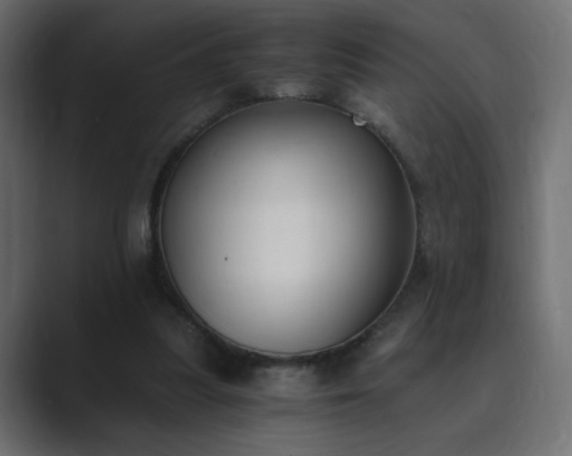 X0000089850251200706281256