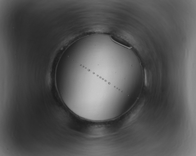 X0000089850252200706281256