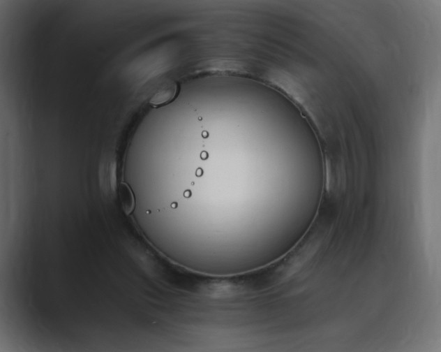 X0000089850253200706281256