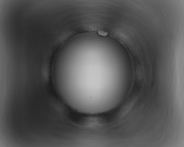 X0000089850255200706281256