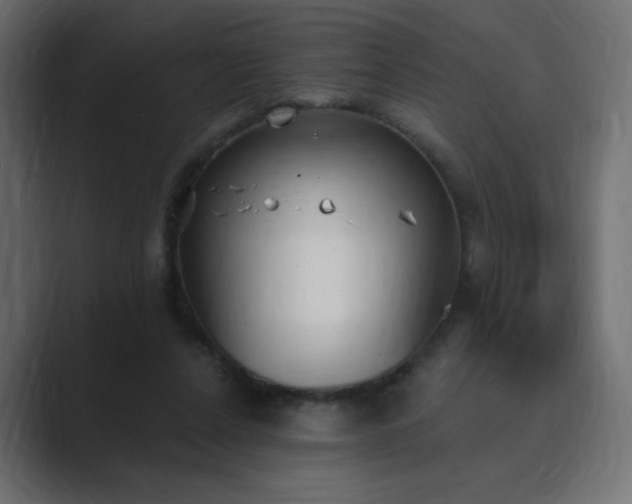 X0000089850256200706281256