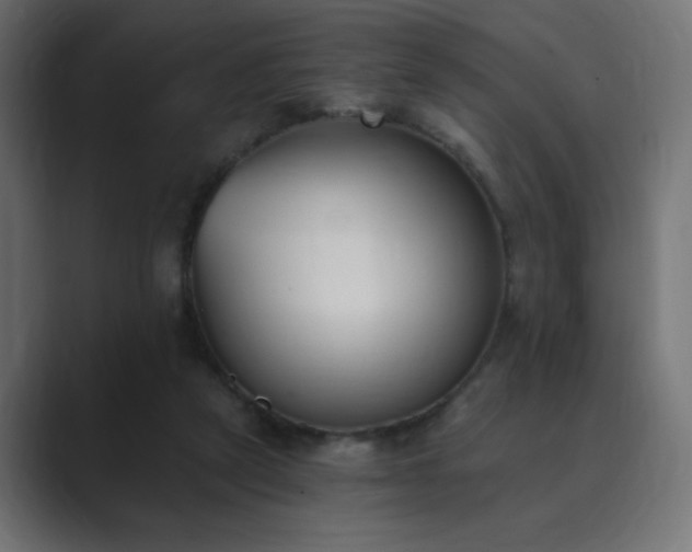 X0000089850257200706281256