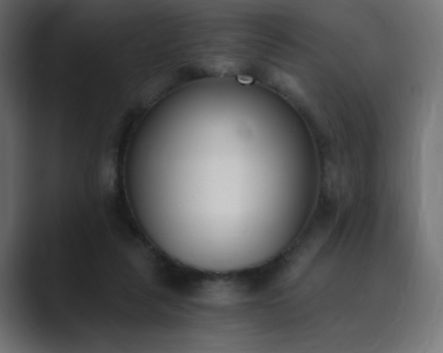 X0000089850259200706281256