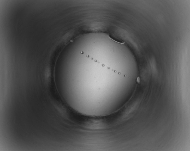 X0000089850260200706281256