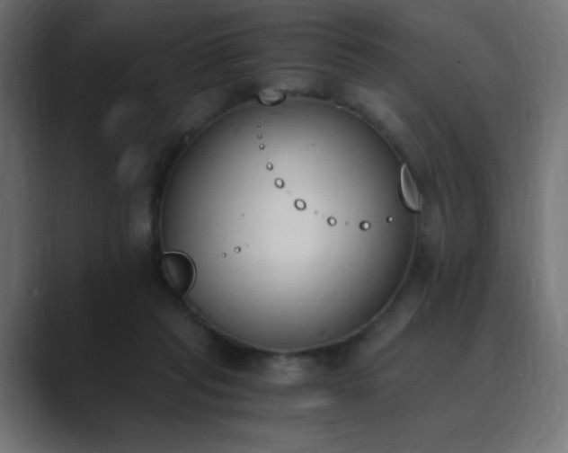 X0000089850261200706281256