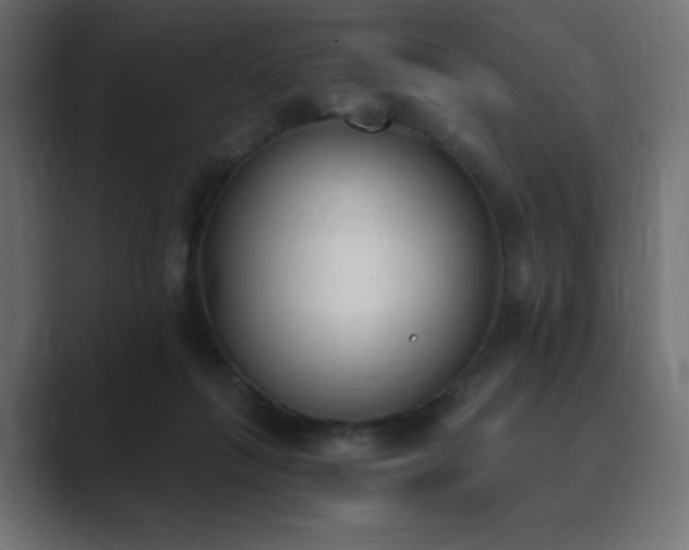 X0000089850263200706281256