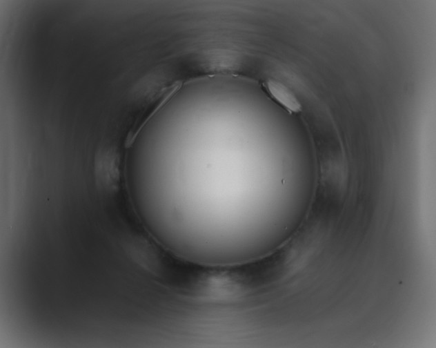 X0000089850264200706281256