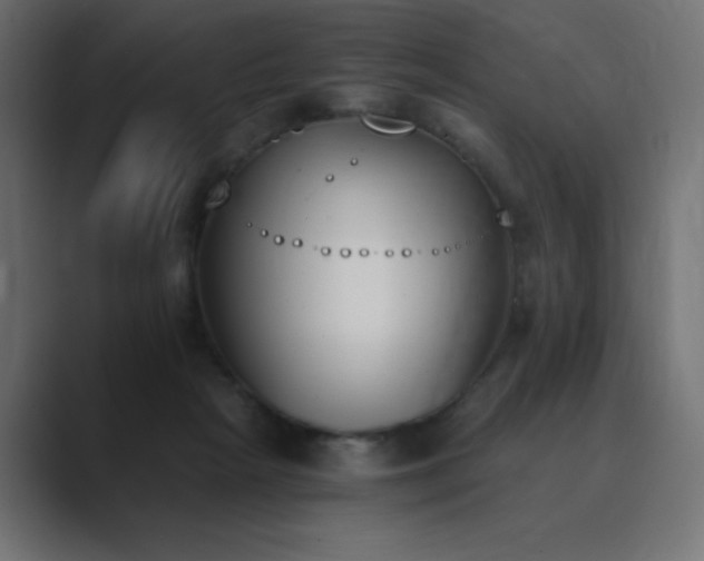 X0000089850265200706281256