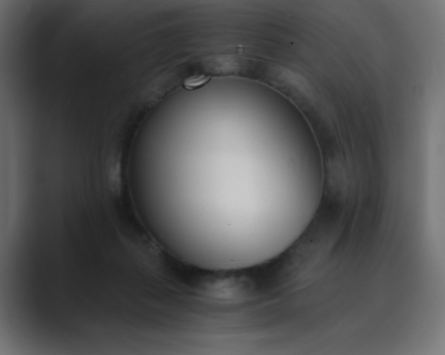 X0000089850267200706281256