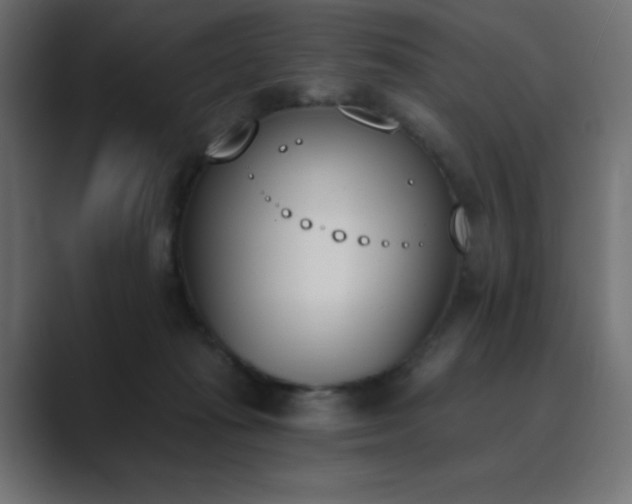 X0000089850269200706281256