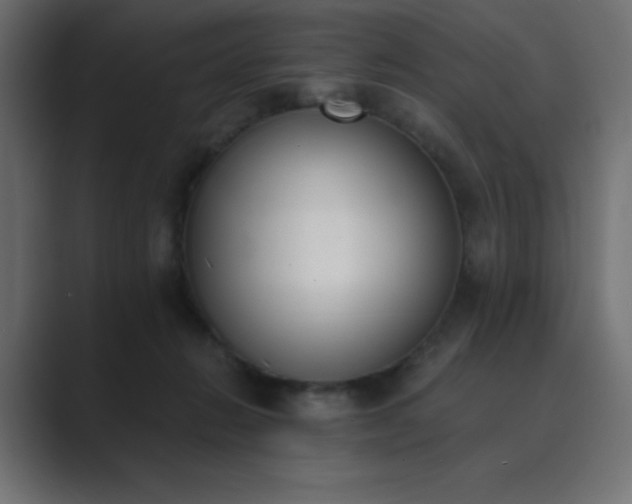 X0000089850270200706281256