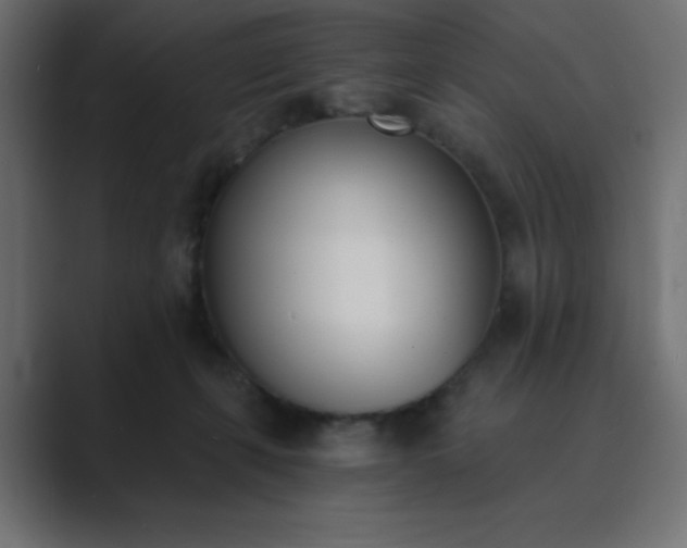 X0000089850271200706281256