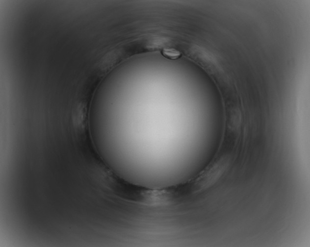 X0000089850273200706281257