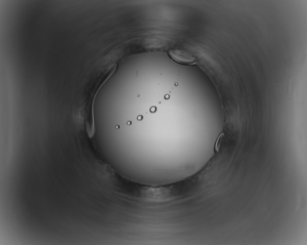 X0000089850277200706281257