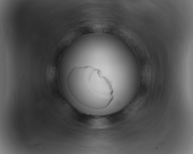 X0000089850278200706281257