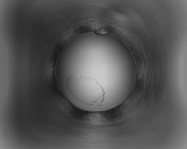 X0000089850279200706281257