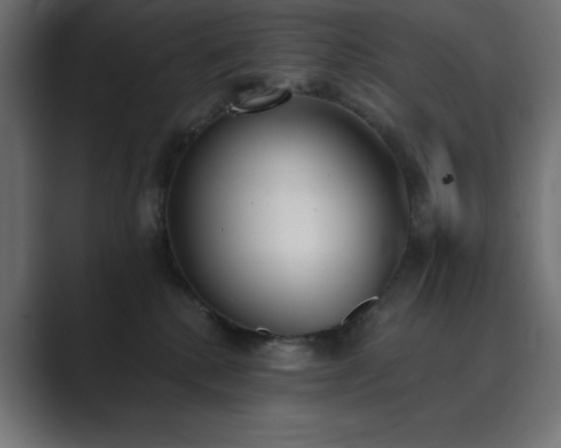X0000089850280200706281257