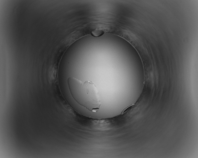 X0000089850281200706281257