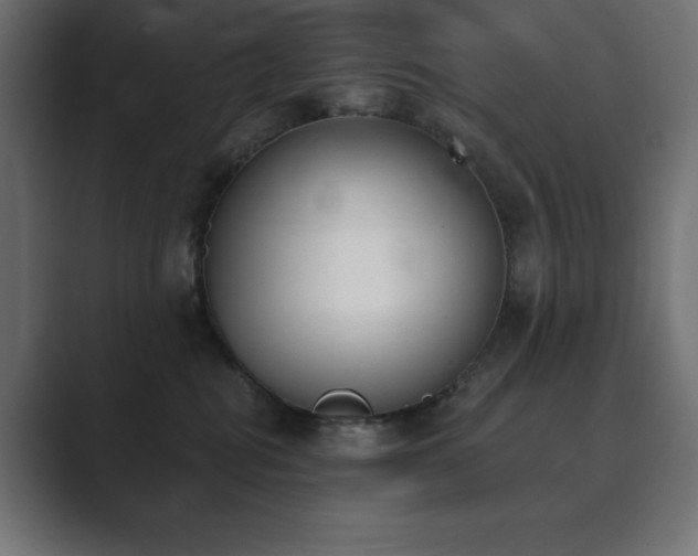 X0000089850282200706281257