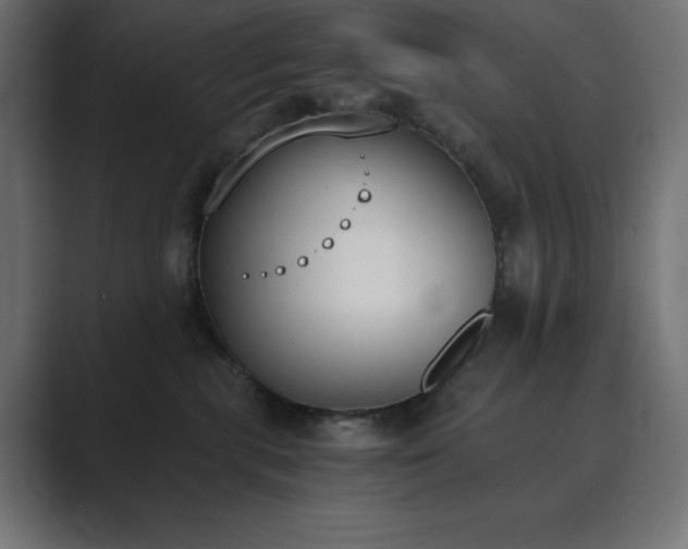X0000089850283200706281257