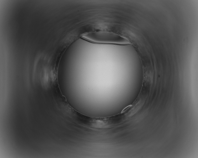 X0000089850285200706281257