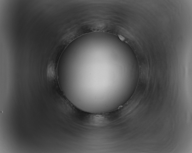 X0000089850287200706281257