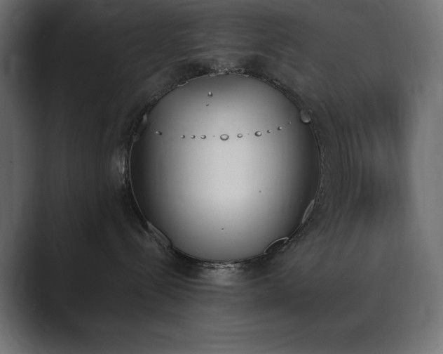 X0000089850288200706281257