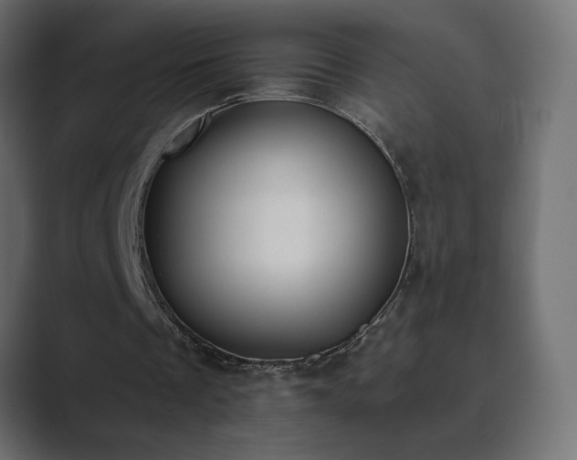 X0000089850289200706281256