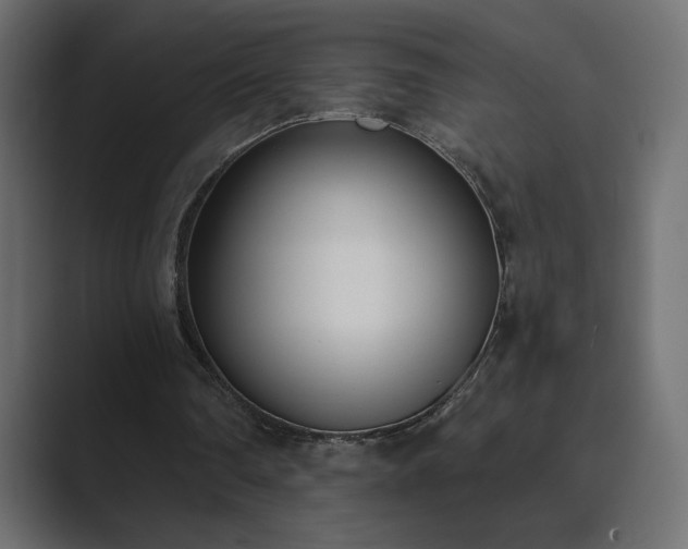 X0000089850290200706281256