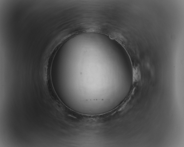 X0000089850291200706281256