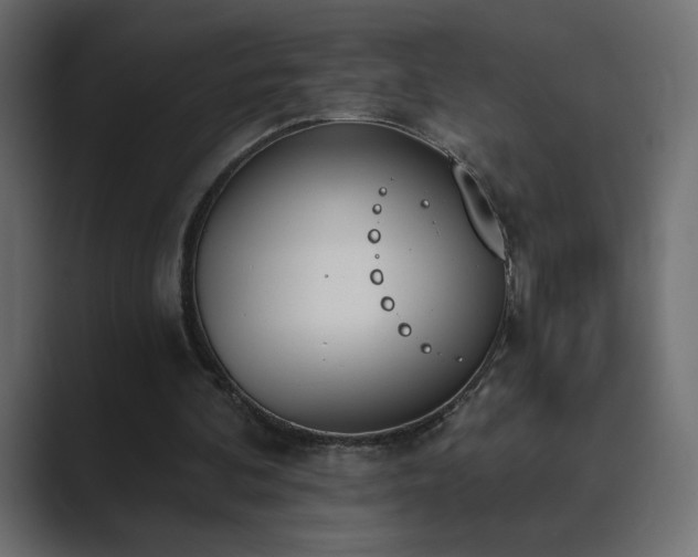 X0000089850292200706281256