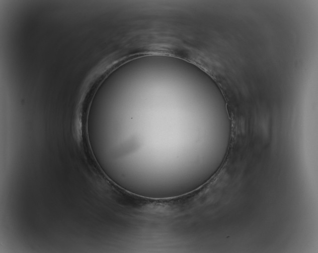 X0000089850294200706281256