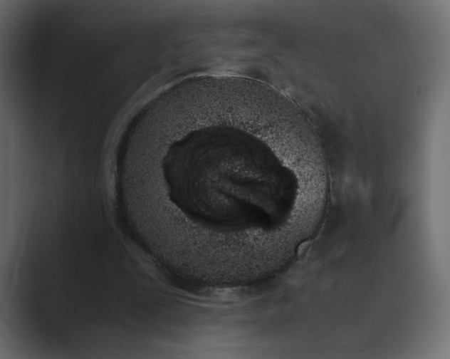 X0000089850295200706281256
