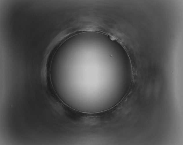 X0000089850296200706281256