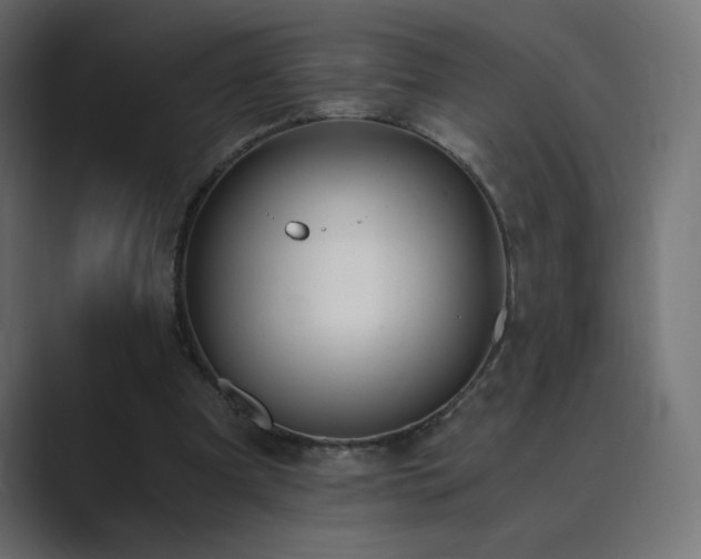 X0000089850297200706281256