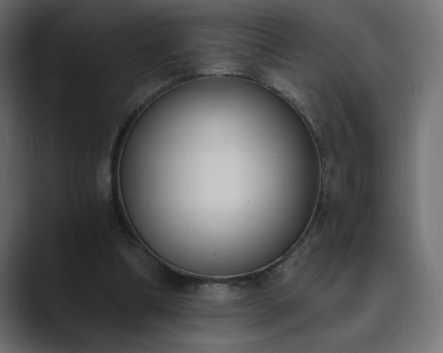 X0000089850298200706281256