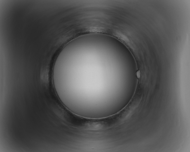 X0000089850299200706281256