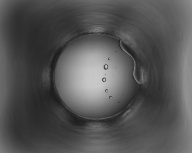 X0000089850300200706281256