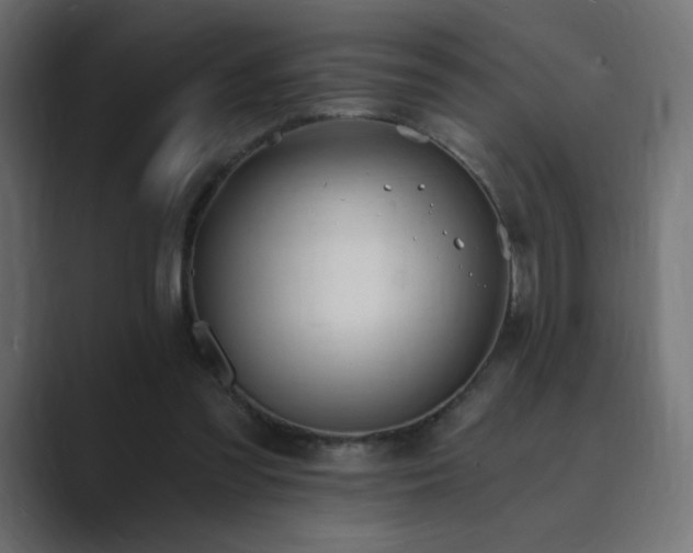 X0000089850301200706281256