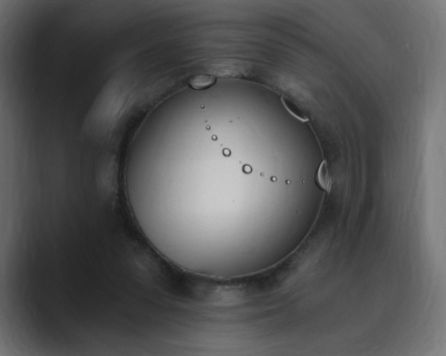 X0000089850303200706281256