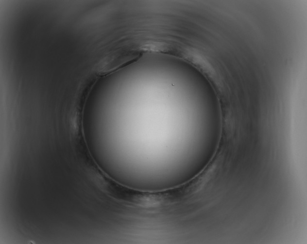 X0000089850305200706281256