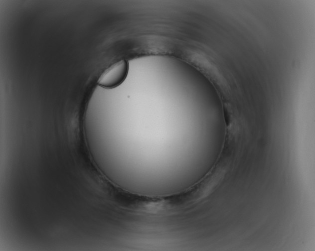 X0000089850306200706281256