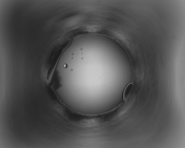 X0000089850307200706281256
