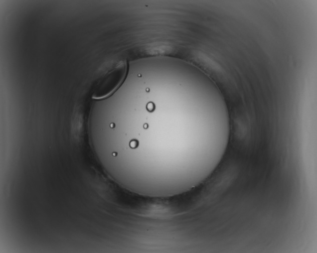 X0000089850308200706281256