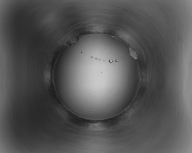 X0000089850309200706281256