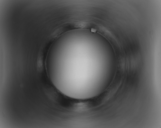 X0000089850312200706281256