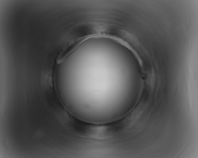 X0000089850313200706281256